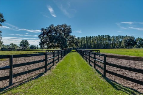 Commercial property in Ocala, Florida № 2153143 - photo 7