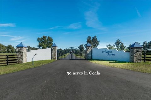 Commercial property in Ocala, Florida № 2153143 - photo 5