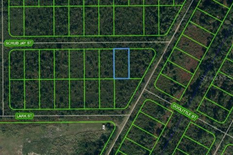 Land in Lake Placid, Florida № 2224012