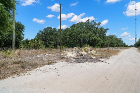 Terreno en venta en Riverview, Florida № 1761523 - foto 3