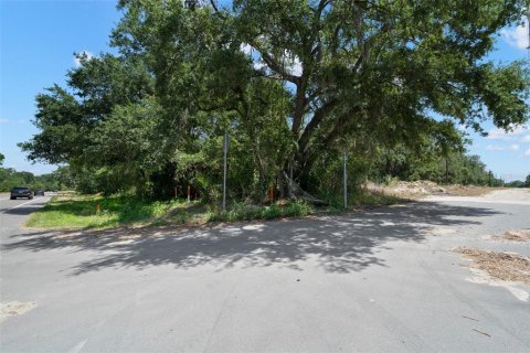 Terreno en venta en Riverview, Florida № 1761523 - foto 2