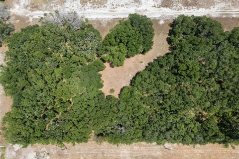 Terreno en venta en Riverview, Florida № 1761523 - foto 10