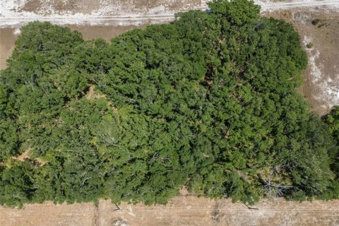 Terreno en venta en Riverview, Florida № 1761523 - foto 11