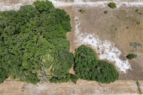 Terreno en venta en Riverview, Florida № 1761523 - foto 12