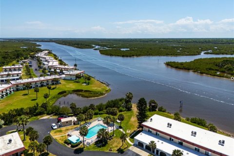Copropriété à vendre à Flagler Beach, Floride: 2 chambres, 110 m2 № 2290474 - photo 28