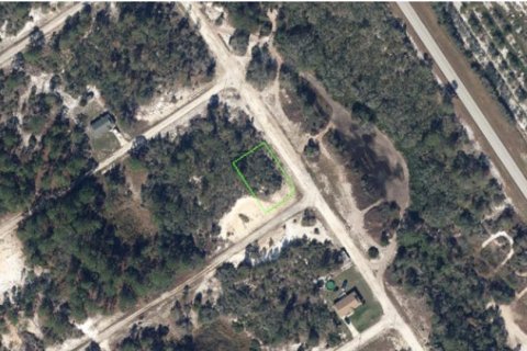 Land in Lake Placid, Florida № 2229004