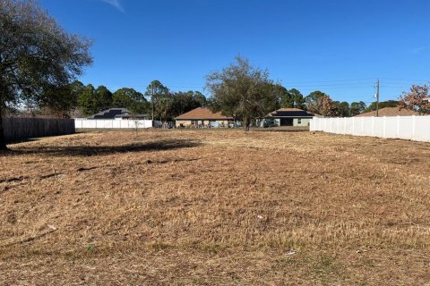Land in Palm Bay, Florida № 2198789