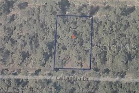 Land in Indian lake estates, Florida № 2162859