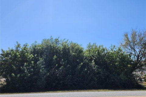Land in Englewood, Florida № 2162050 - photo 6