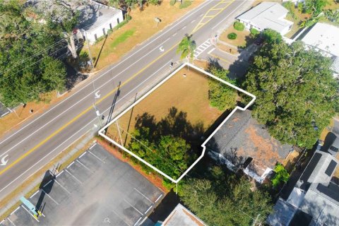 Land in Brandon, Florida № 1618030 - photo 2