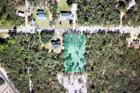 Land in Frostproof, Florida № 2158924