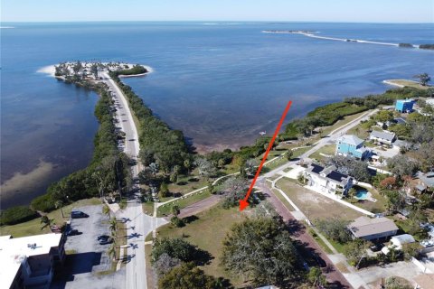 House in Tarpon Springs, Florida 5 bedrooms, 322 sq.m. № 1554887 - photo 13