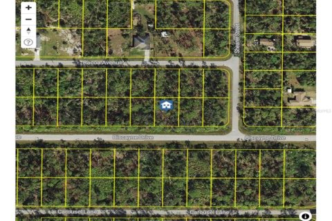 Terrain à vendre à Port Charlotte, Floride № 2233147 - photo 6