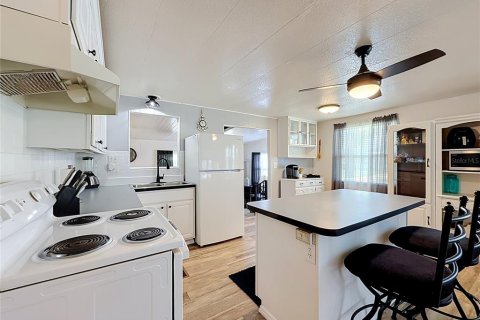 Casa en venta en Tavares, Florida, 3 dormitorios, 142.7 m2 № 2197596 - foto 3