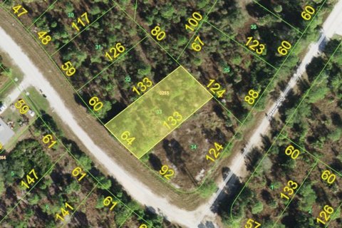Land in Punta Gorda, Florida № 2369754
