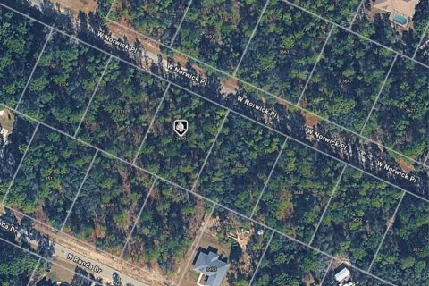 Terreno en Dunnellon, Florida № 2205624