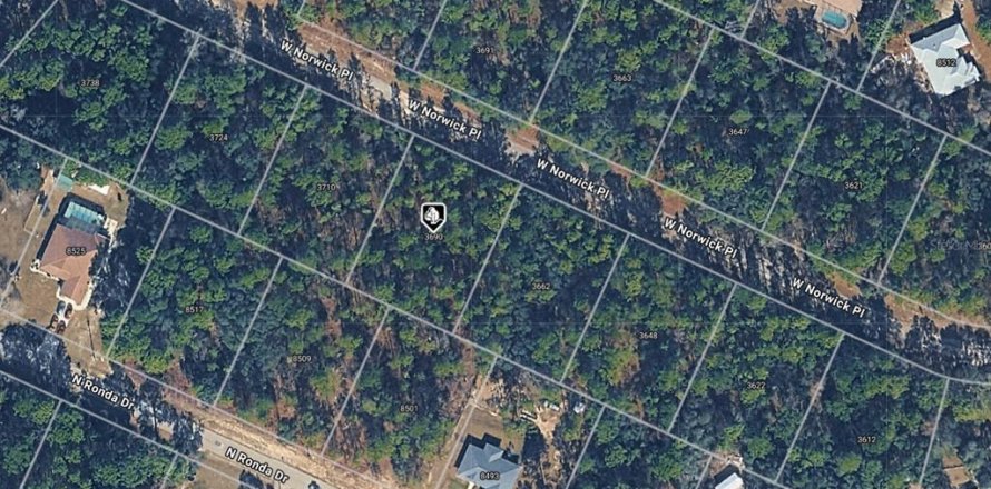 Terreno en Dunnellon, Florida № 2205624
