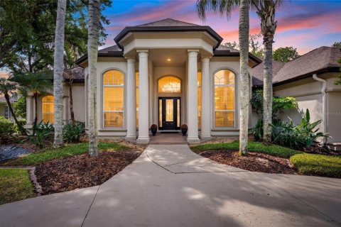 House in Tampa, Florida 4 bedrooms, 394.74 sq.m. № 2101743