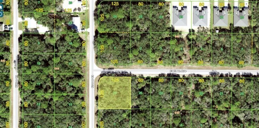 Terrain à Port Charlotte, Floride № 2165010