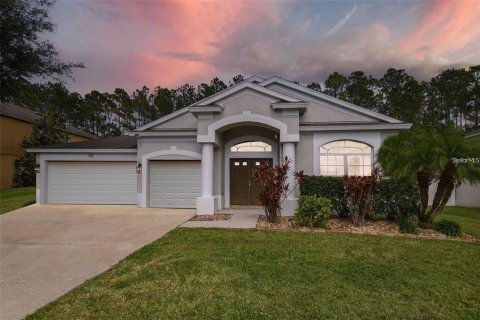 Casa en alquiler en Wesley Chapel, Florida, 4 dormitorios, 256.69 m2 № 1839082 - foto 1
