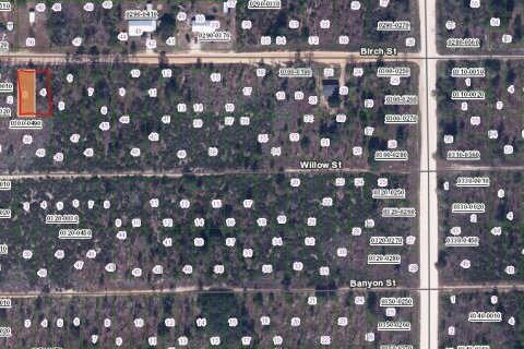 Terrain à vendre à Interlachen, Floride № 2212736 - photo 2