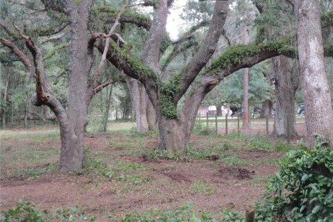 Terrain à vendre à Seffner, Floride № 1910377 - photo 1