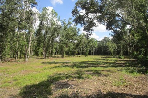 Terrain à vendre à Seffner, Floride № 1910377 - photo 4