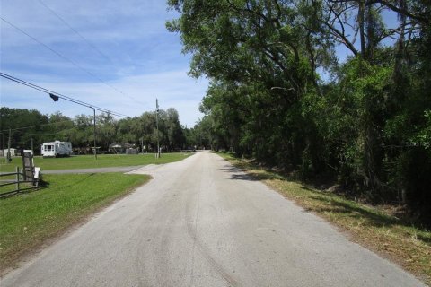 Terrain à vendre à Seffner, Floride № 1910377 - photo 5
