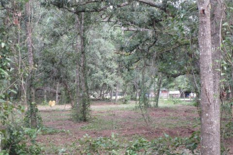 Terrain à vendre à Seffner, Floride № 1910377 - photo 2