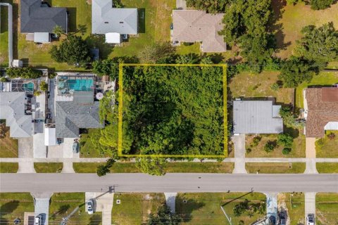 Land in Venice, Florida № 2156994 - photo 2