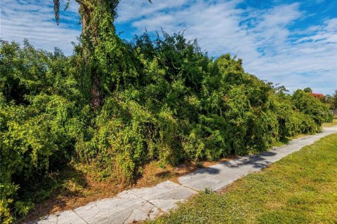 Land in Venice, Florida № 2156994 - photo 9