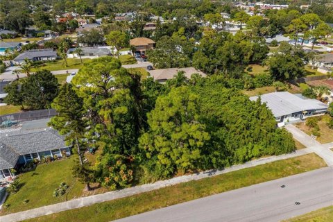 Land in Venice, Florida № 2156994 - photo 6