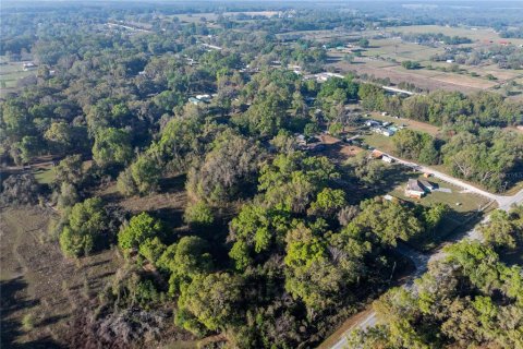House in Summerfield, Florida 3 bedrooms, 125.42 sq.m. № 1733637 - photo 6