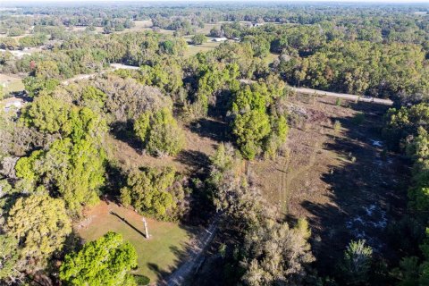 House in Summerfield, Florida 3 bedrooms, 125.42 sq.m. № 1733637 - photo 11