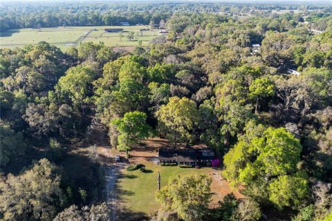 House in Summerfield, Florida 3 bedrooms, 125.42 sq.m. № 1733637 - photo 14