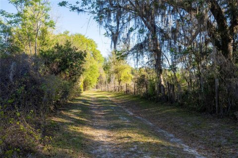 House in Summerfield, Florida 3 bedrooms, 125.42 sq.m. № 1733637 - photo 26