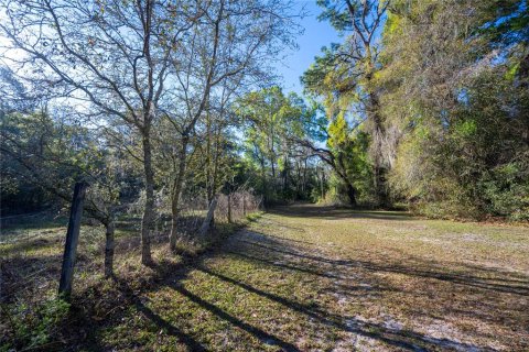 House in Summerfield, Florida 3 bedrooms, 125.42 sq.m. № 1733637 - photo 3