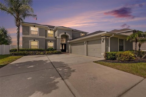 Casa en Valrico, Florida 5 dormitorios, 310.57 m2 № 2096181