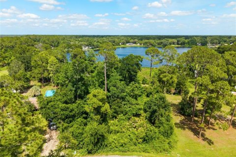 Terreno en Paisley, Florida № 2102098