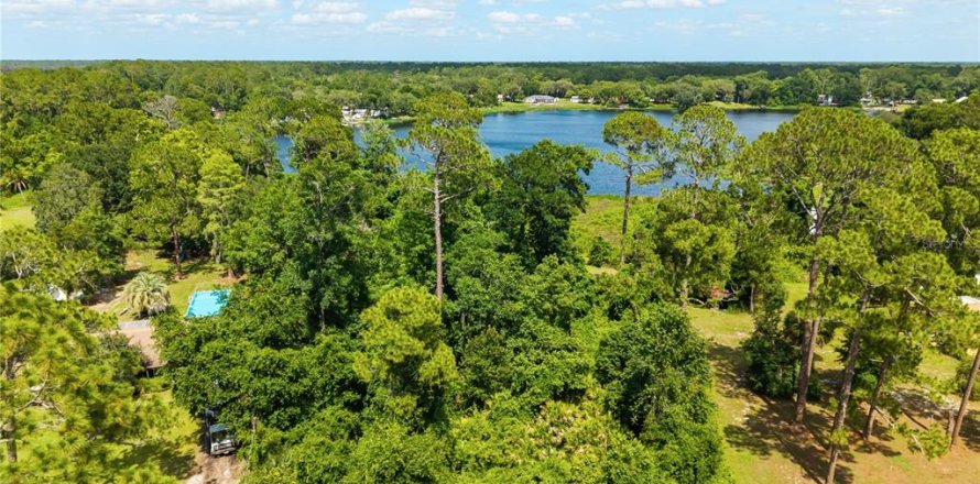 Terreno en Paisley, Florida № 2102098