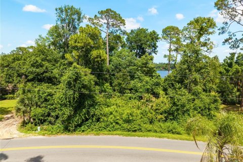 Terreno en venta en Paisley, Florida № 2102098 - foto 10