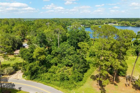 Terreno en venta en Paisley, Florida № 2102098 - foto 2