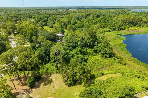 Terreno en venta en Paisley, Florida № 2102098 - foto 3