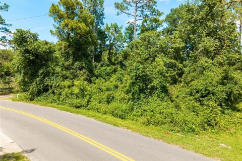Terreno en venta en Paisley, Florida № 2102098 - foto 11