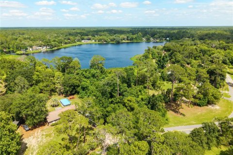 Terreno en venta en Paisley, Florida № 2102098 - foto 9