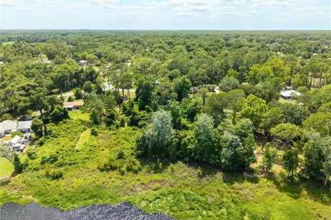 Terreno en venta en Paisley, Florida № 2102098 - foto 4