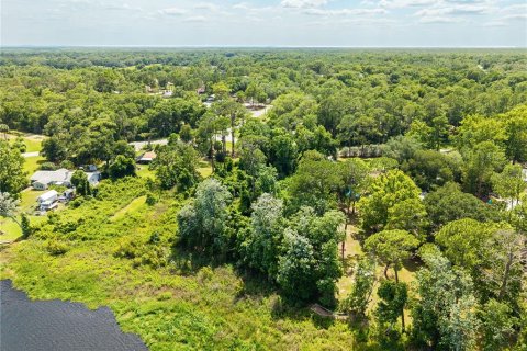 Terreno en venta en Paisley, Florida № 2102098 - foto 5