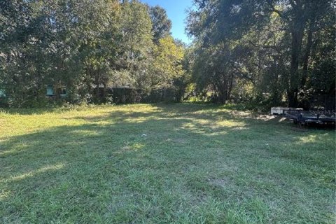 Land in Ocala, Florida № 2162624