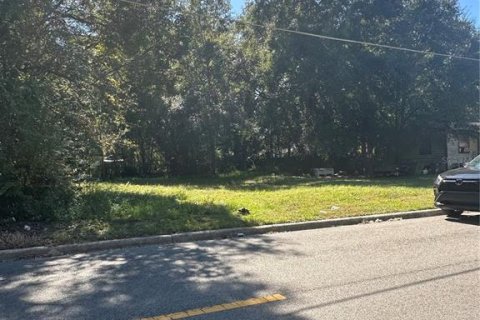 Terreno en venta en Ocala, Florida № 2162624 - foto 3