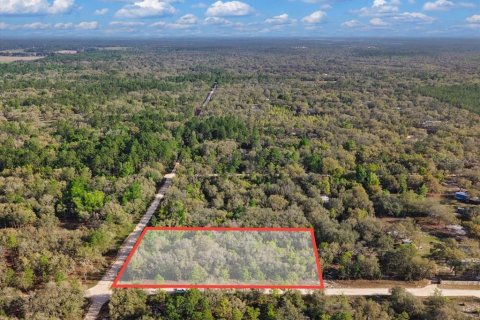 Land in Bronson, Florida № 2205768